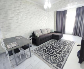 Комфортная двухкомнатная квартира, Bishkek
